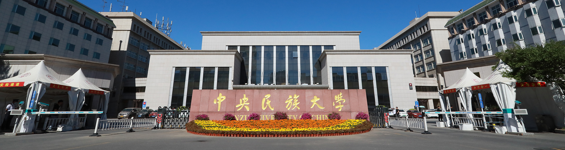 成人导航